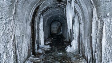 Elle devait protéger nos semences pendant des siècles : la science vient de comprendre pourquoi l'eau est entrée dans le t...