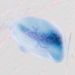 En cultivant des neurones humains vivants sur une puce à Melbourne, Cortical Labs a littéralement changé ce qu'on appelle ...