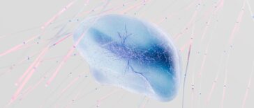 En cultivant des neurones humains vivants sur une puce à Melbourne, Cortical Labs a littéralement changé ce qu'on appelle ...