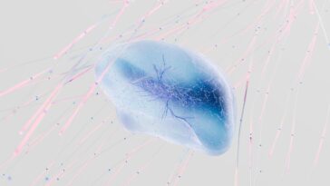En cultivant des neurones humains vivants sur une puce à Melbourne, Cortical Labs a littéralement changé ce qu'on appelle ...