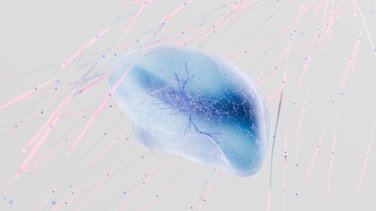 En cultivant des neurones humains vivants sur une puce à Melbourne, Cortical Labs a littéralement changé ce qu'on appelle ...
