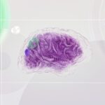 Dans une salle climatisée de Singapour vivent depuis peu 16 millions de cellules qu'aucun centre de données n'avait jamais...