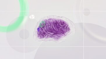 Dans une salle climatisée de Singapour vivent depuis peu 16 millions de cellules qu'aucun centre de données n'avait jamais...